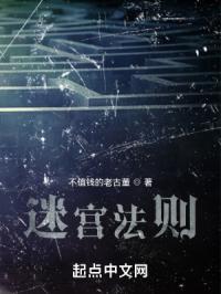 迷宫法则 迷宫法则